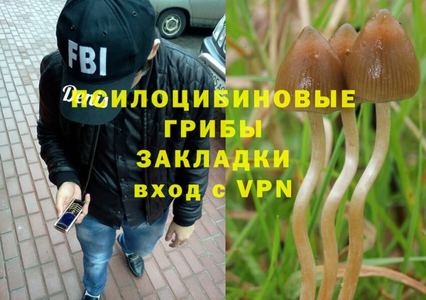 трава Гусь-Хрустальный