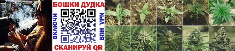 Каннабис Amnesia  Махачкала 